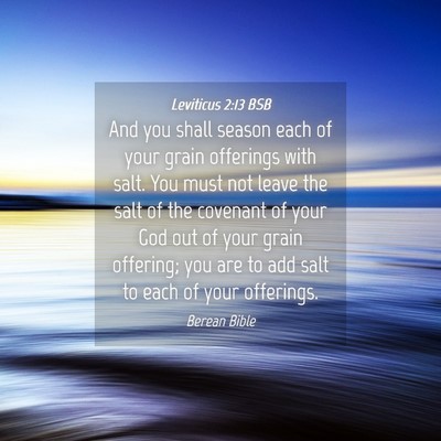 Picture 04 - Leviticus 2:13 BSB - And you shall season each of your grain offerings - Bible Verse Picture