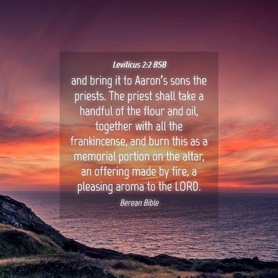 Picture 04 - Leviticus 2:2 BSB - and bring it to Aaron’s sons the priests. The - Bible Verse Picture
