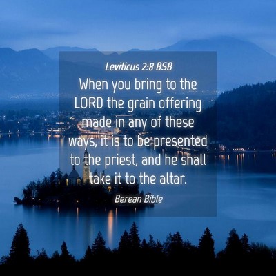 Picture 04 - Leviticus 2:8 BSB - When you bring to the LORD the grain offering - Bible Verse Picture
