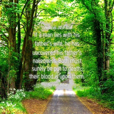 Picture 04 - Leviticus 20:11 BSB - If a man lies with his father’s wife, he has - Bible Verse Picture