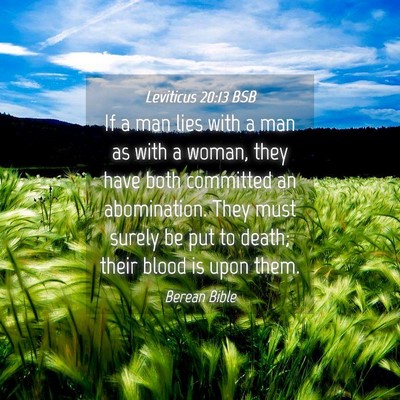 Picture 04 - Leviticus 20:13 BSB - If a man lies with a man as with a woman, they - Bible Verse Picture