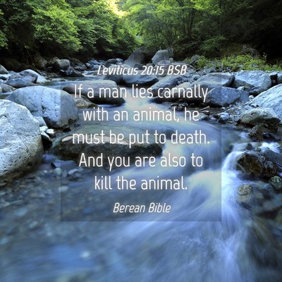 Picture 04 - Leviticus 20:15 BSB - If a man lies carnally with an animal, he must be - Bible Verse Picture