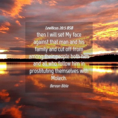 Picture 04 - Leviticus 20:5 BSB - then I will set My face against that man and his - Bible Verse Picture