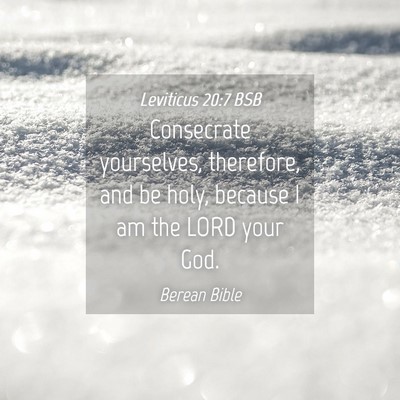 Picture 04 - Leviticus 20:7 BSB - Consecrate yourselves, therefore, and be holy, - Bible Verse Picture