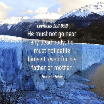 Picture 04 - Leviticus 21:11 BSB - He must not go near any dead body; he must not - Bible Verse Picture
