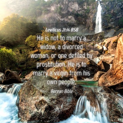 Picture 04 - Leviticus 21:14 BSB - He is not to marry a widow, a divorced woman, or - Bible Verse Picture