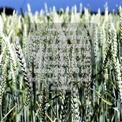 Picture 04 - Leviticus 21:8 BSB - You are to regard him as holy, since he presents - Bible Verse Picture