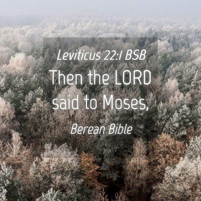 Picture 04 - Leviticus 22:1 BSB - Then the LORD said to - Bible Verse Picture