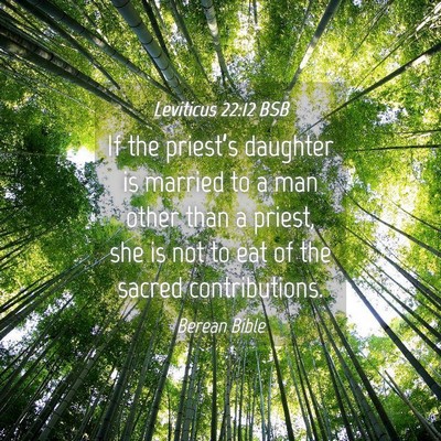 Picture 04 - Leviticus 22:12 BSB - If the priest’s daughter is married to a man - Bible Verse Picture