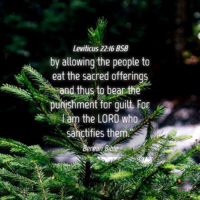 Picture 04 - Leviticus 22:16 BSB - by allowing the people to eat the sacred - Bible Verse Picture