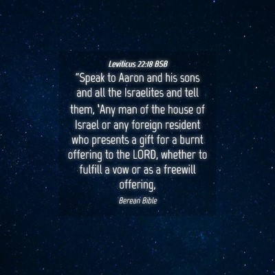 Picture 04 - Leviticus 22:18 BSB - “Speak to Aaron and his sons and all the - Bible Verse Picture