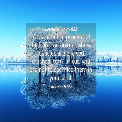 Picture 04 - Leviticus 22:24 BSB - You are not to present to the LORD an animal - Bible Verse Picture