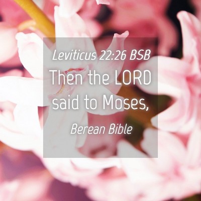 Picture 04 - Leviticus 22:26 BSB - Then the LORD said to - Bible Verse Picture