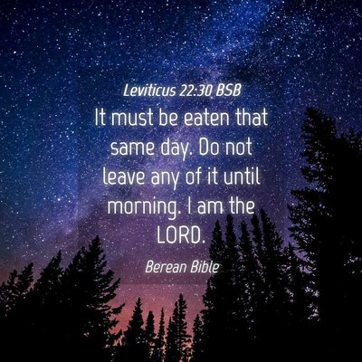 Picture 04 - Leviticus 22:30 BSB - It must be eaten that same day. Do not leave any - Bible Verse Picture