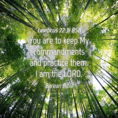 Picture 04 - Leviticus 22:31 BSB - You are to keep My commandments and practice - Bible Verse Picture