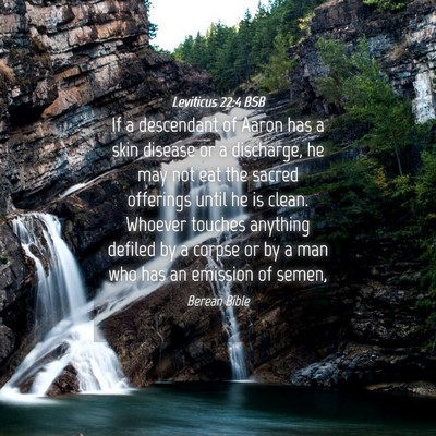 Picture 04 - Leviticus 22:4 BSB - If a descendant of Aaron has a skin disease or a - Bible Verse Picture