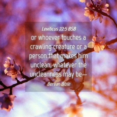 Picture 04 - Leviticus 22:5 BSB - or whoever touches a crawling creature or a - Bible Verse Picture
