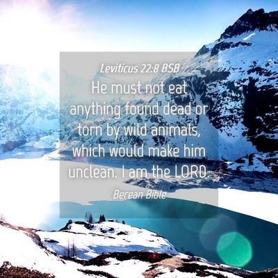 Picture 04 - Leviticus 22:8 BSB - He must not eat anything found dead or torn by - Bible Verse Picture