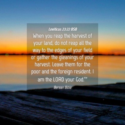 Picture 04 - Leviticus 23:22 BSB - When you reap the harvest of your land, do not - Bible Verse Picture