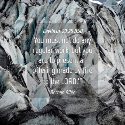 Picture 04 - Leviticus 23:25 BSB - You must not do any regular work, but you are to - Bible Verse Picture