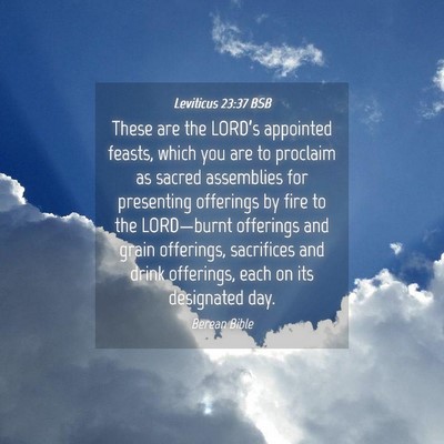 Picture 04 - Leviticus 23:37 BSB - These are the LORD’s appointed feasts, which - Bible Verse Picture