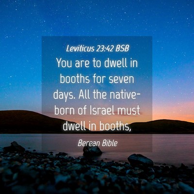 Picture 04 - Leviticus 23:42 BSB - You are to dwell in booths for seven days. All - Bible Verse Picture
