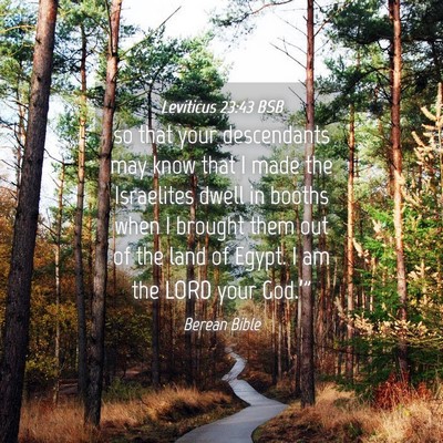 Picture 04 - Leviticus 23:43 BSB - so that your descendants may know that I made the - Bible Verse Picture