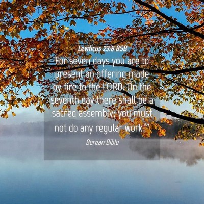 Picture 04 - Leviticus 23:8 BSB - For seven days you are to present an offering - Bible Verse Picture