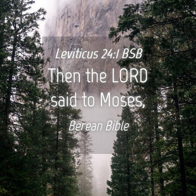 Picture 04 - Leviticus 24:1 BSB - Then the LORD said to - Bible Verse Picture