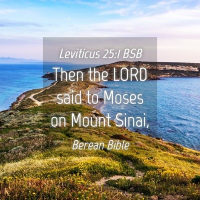 Picture 04 - Leviticus 25:1 BSB - Then the LORD said to Moses on Mount - Bible Verse Picture