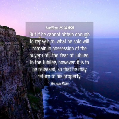 Picture 04 - Leviticus 25:28 BSB - But if he cannot obtain enough to repay him, what - Bible Verse Picture