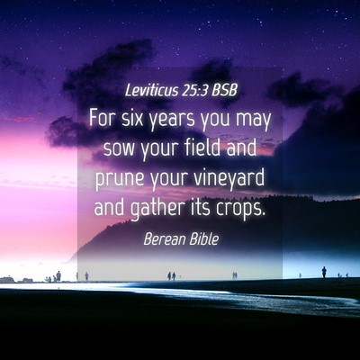 Picture 04 - Leviticus 25:3 BSB - For six years you may sow your field and prune - Bible Verse Picture