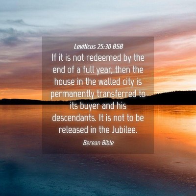 Picture 04 - Leviticus 25:30 BSB - If it is not redeemed by the end of a full year, - Bible Verse Picture