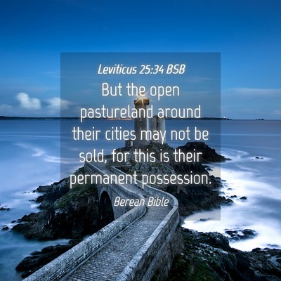 Picture 04 - Leviticus 25:34 BSB - But the open pastureland around their cities may - Bible Verse Picture