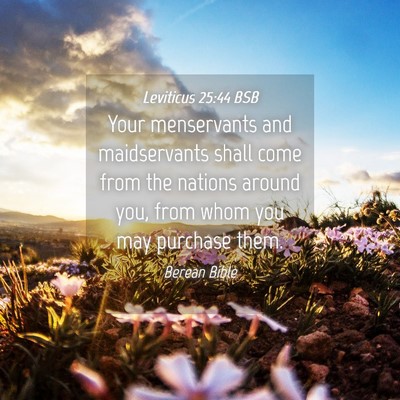 Picture 04 - Leviticus 25:44 BSB - Your menservants and maidservants shall come from - Bible Verse Picture