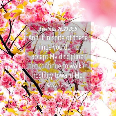 Picture 04 - Leviticus 26:23 BSB - And if in spite of these things you do not accept - Bible Verse Picture