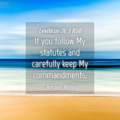 Picture 04 - Leviticus 26:3 BSB - If you follow My statutes and carefully keep My - Bible Verse Picture