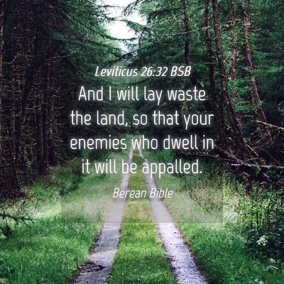Picture 04 - Leviticus 26:32 BSB - And I will lay waste the land, so that your - Bible Verse Picture