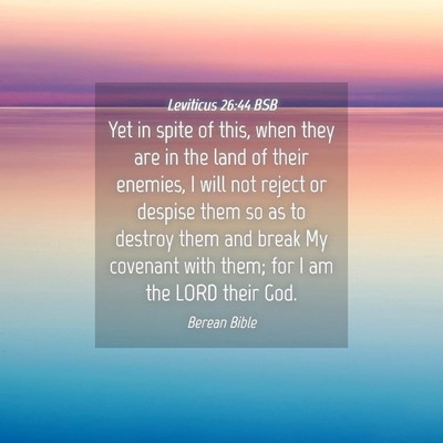 Picture 04 - Leviticus 26:44 BSB - Yet in spite of this, when they are in the land - Bible Verse Picture