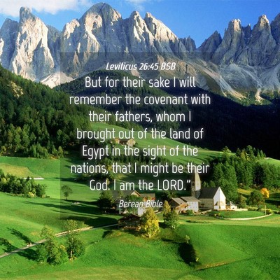 Picture 04 - Leviticus 26:45 BSB - But for their sake I will remember the covenant - Bible Verse Picture
