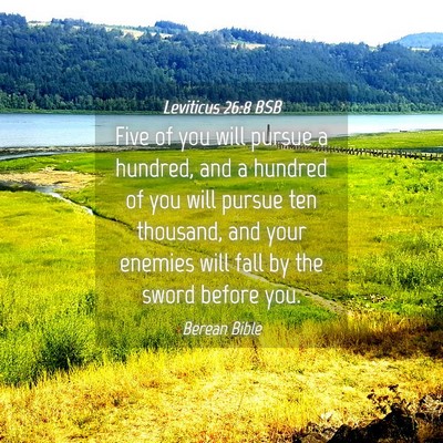 Picture 04 - Leviticus 26:8 BSB - Five of you will pursue a hundred, and a hundred - Bible Verse Picture