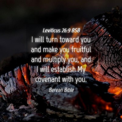 Picture 04 - Leviticus 26:9 BSB - I will turn toward you and make you fruitful and - Bible Verse Picture