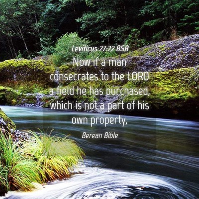 Picture 04 - Leviticus 27:22 BSB - Now if a man consecrates to the LORD a field he - Bible Verse Picture