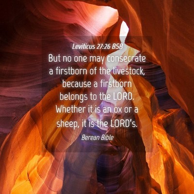 Picture 04 - Leviticus 27:26 BSB - But no one may consecrate a firstborn of the - Bible Verse Picture