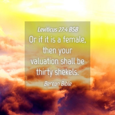 Picture 04 - Leviticus 27:4 BSB - Or if it is a female, then your valuation shall - Bible Verse Picture