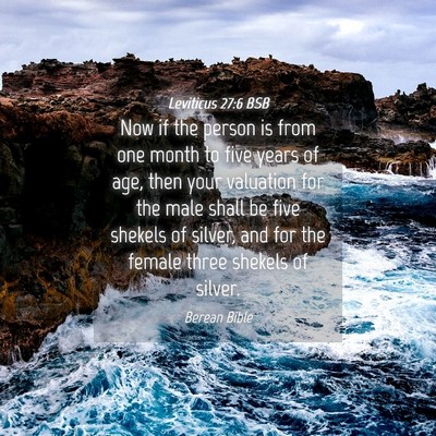Picture 04 - Leviticus 27:6 BSB - Now if the person is from one month to five years - Bible Verse Picture