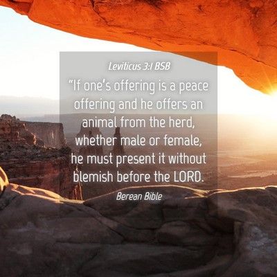Picture 04 - Leviticus 3:1 BSB - “If one’s offering is a peace offering and he - Bible Verse Picture