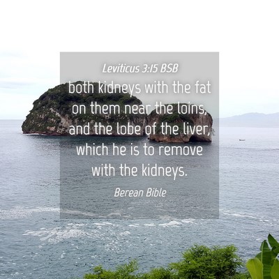 Picture 04 - Leviticus 3:15 BSB - both kidneys with the fat on them near the loins, - Bible Verse Picture