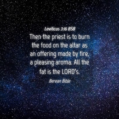 Picture 04 - Leviticus 3:16 BSB - Then the priest is to burn the food on the altar - Bible Verse Picture