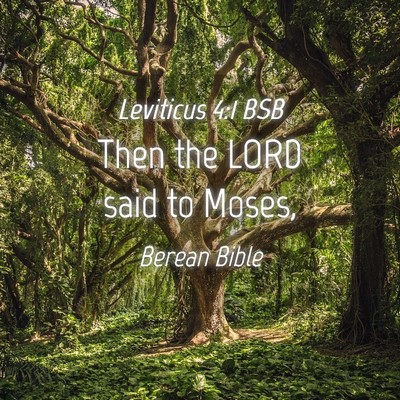 Picture 04 - Leviticus 4:1 BSB - Then the LORD said to - Bible Verse Picture
